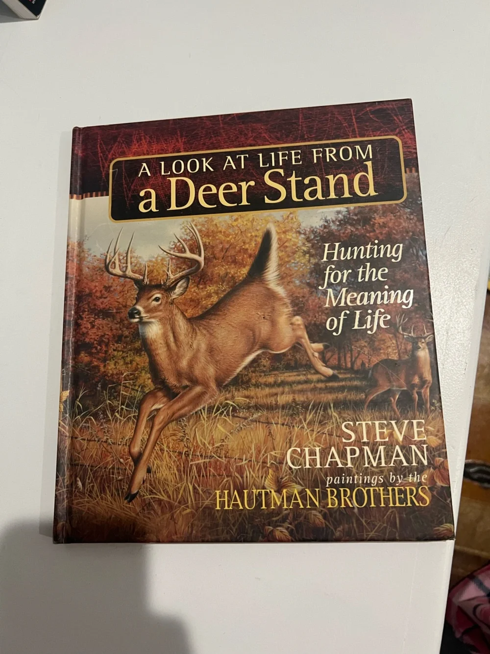 A Look at Life From a Deer Stand - Brown Cover